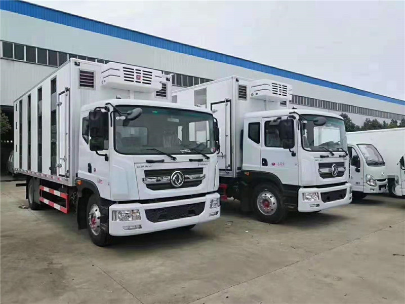 東風(fēng)多利卡國六6米6仔豬運(yùn)輸車價格 